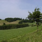 10-Schulte-Bories-Knapp